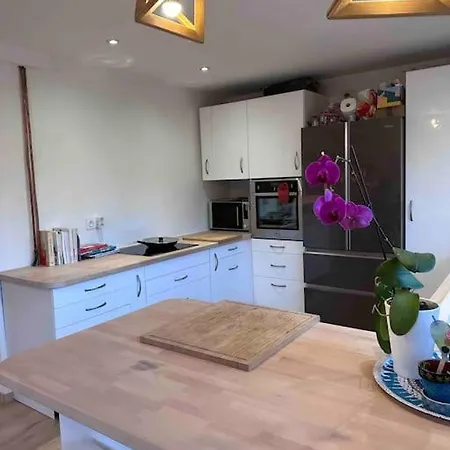 Maison Familiale Proche Strasbourg Ferienhaus *