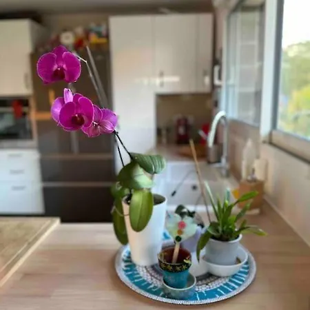 Ferienhaus Maison Familiale Proche Strasbourg Illkirch-Graffenstaden